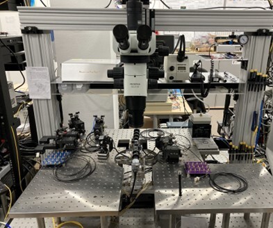 Opto-electronic probe station