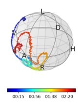 Polarization Drifts